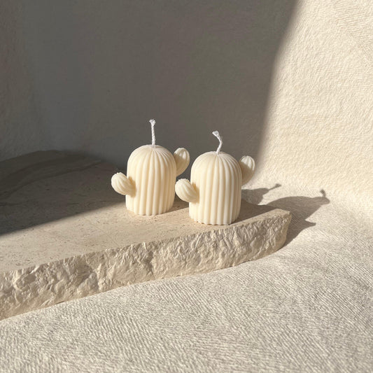 COPPIA CACTUS S