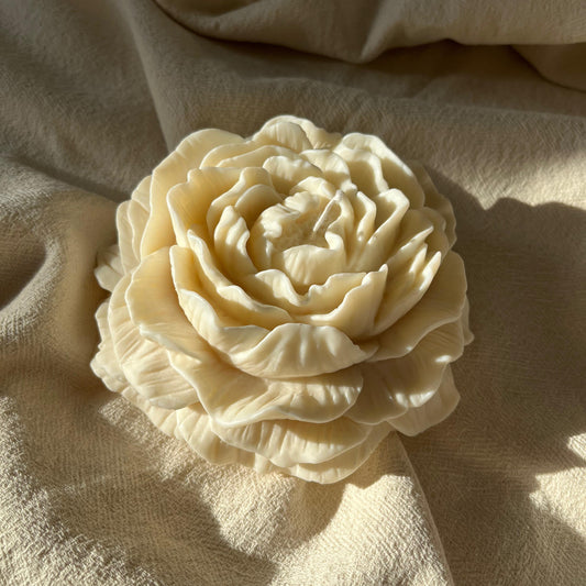 CAMELIA GRANDE