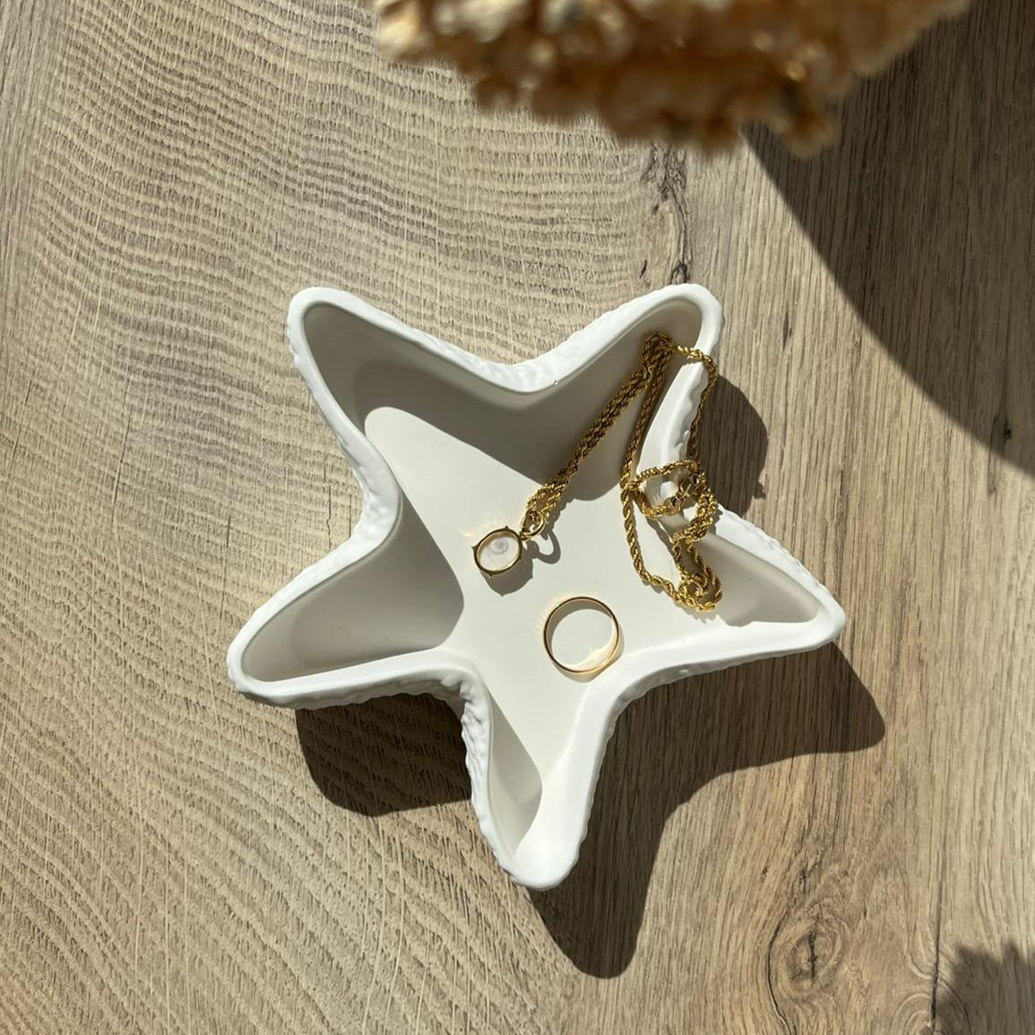 Stella marina portagioie